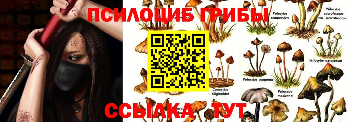 Галлюциногенные грибы ЛСД Унеча