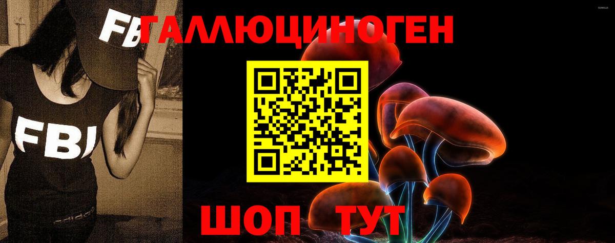наркошоп  Псилоцибиновые грибы Psilocybe  Вход с VPN  Унеча 